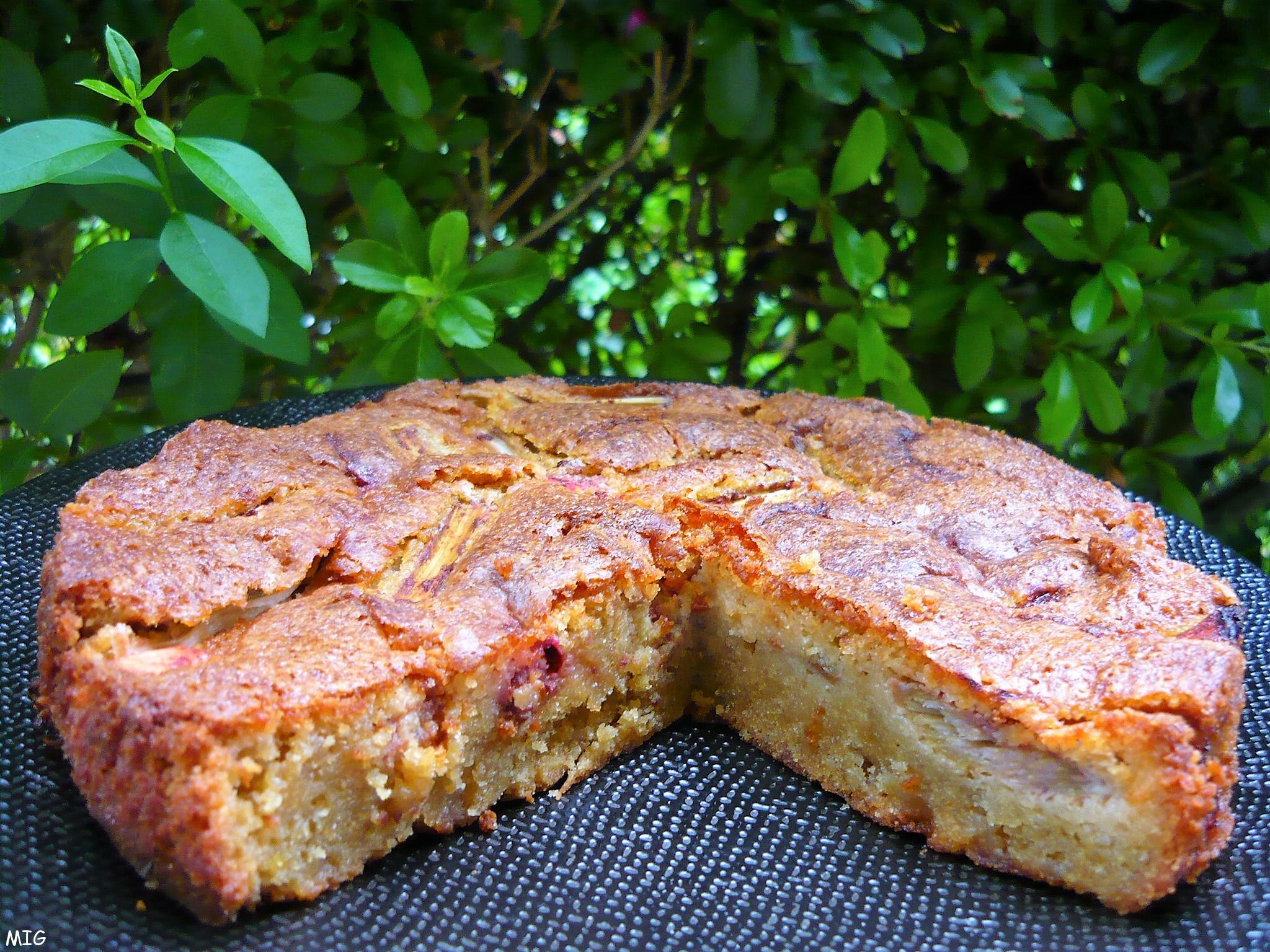 Gateau A La Rhubarbe A La Pate D Amandes Mes Inspirations Gourmandes Gateau A La Rhubarbe A La Pate D Amandes Mes Inspirations Gourmandes