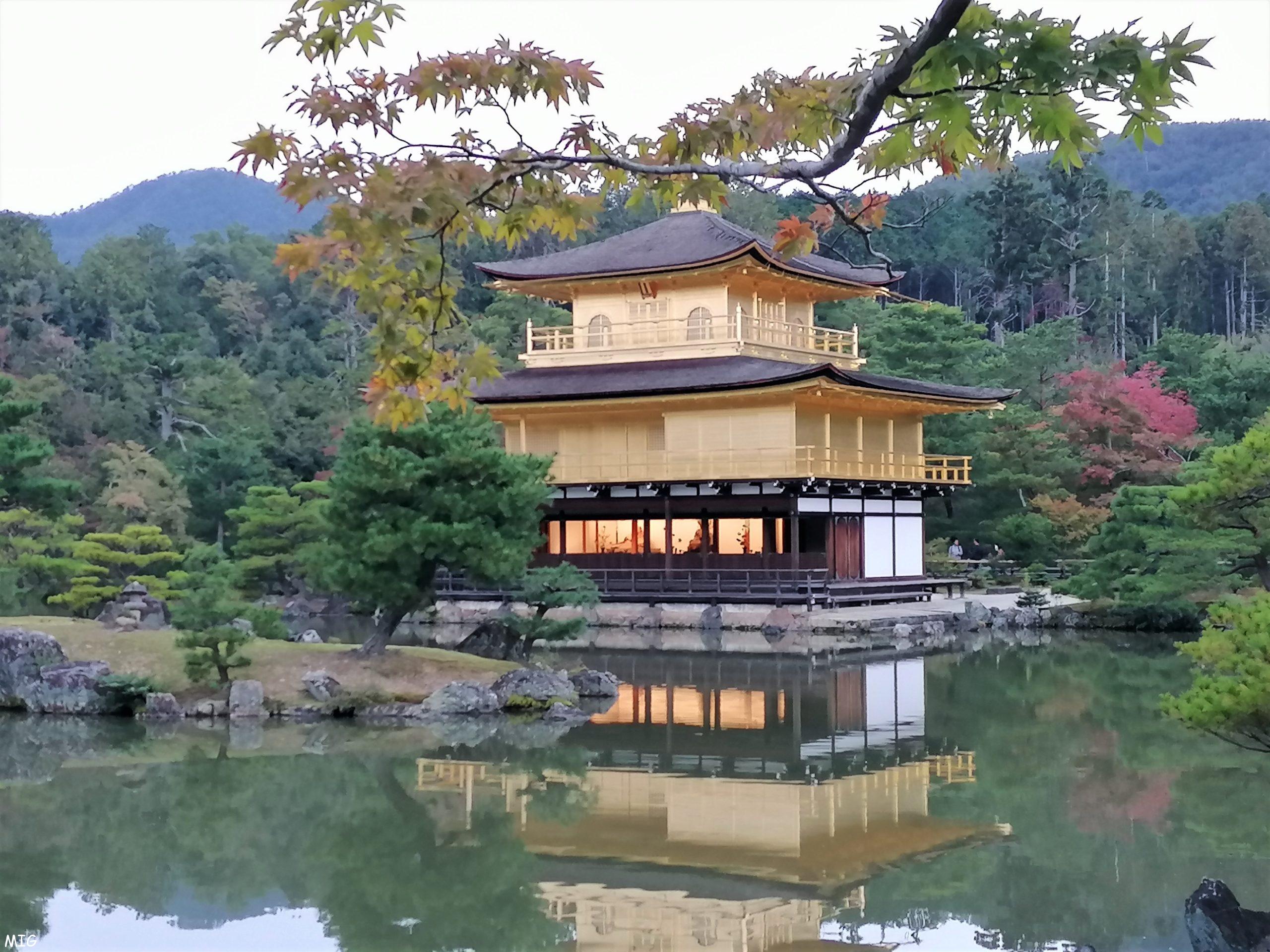 Kioko, la gastronomie japonaise en une seule boutique – Les Adresses  Incontournables